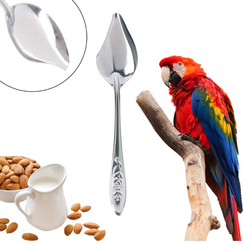 Bird Parrot Feeding Spoon