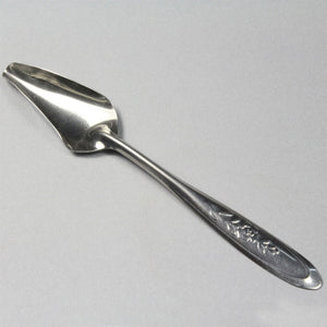 Bird Parrot Feeding Spoon