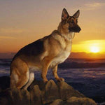 German Shepherd Diamond Painting