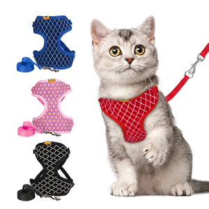 Cat Harness And Leash Set