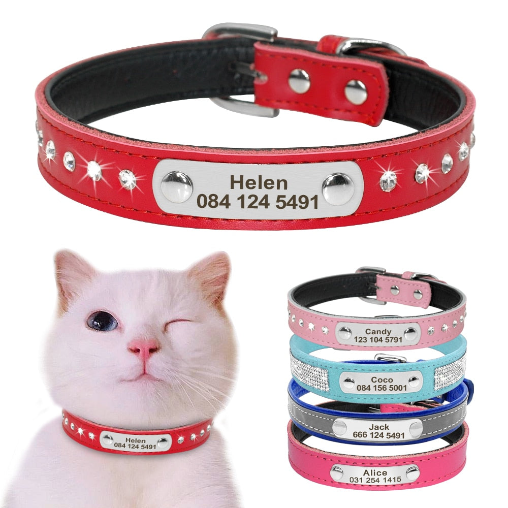 Cat Collar