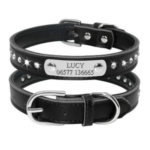 Cat Collar