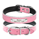 Cat Collar