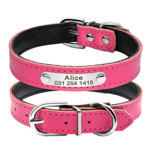 Cat Collar