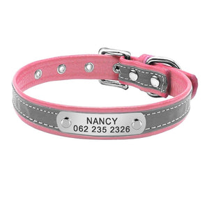 Cat Collar