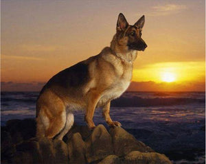 German Shepherd Diamond Painting